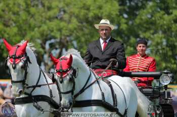 Mezöhegyes 2018 - drezury