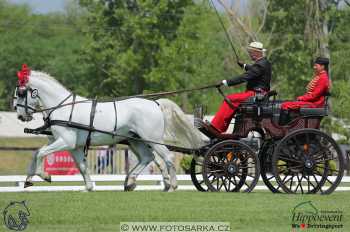 Mezöhegyes 2018 - drezury