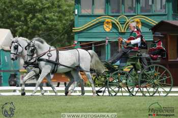 Mezöhegyes 2018 - drezury