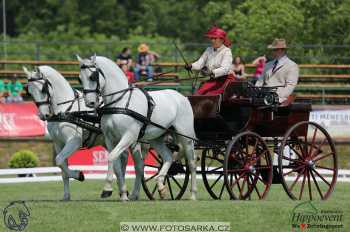 Mezöhegyes 2018 - drezury