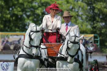Mezöhegyes 2018 - drezury