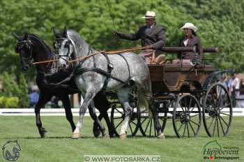 Mezöhegyes 2018 - drezury