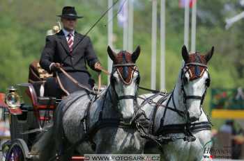 Mezöhegyes 2018 - drezury