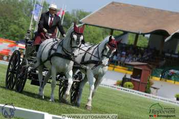 Mezöhegyes 2018 - drezury