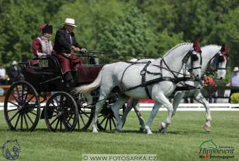 Mezöhegyes 2018 - drezury