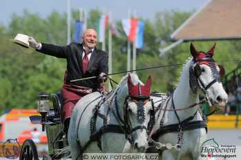 Mezöhegyes 2018 - drezury