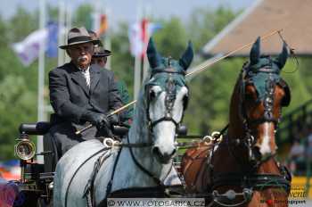 Mezöhegyes 2018 - drezury