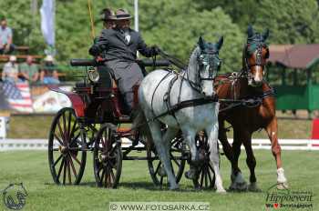 Mezöhegyes 2018 - drezury