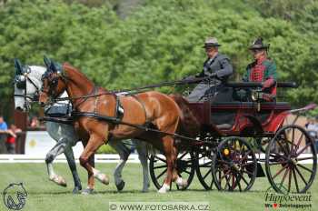 Mezöhegyes 2018 - drezury