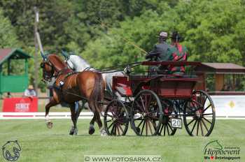 Mezöhegyes 2018 - drezury