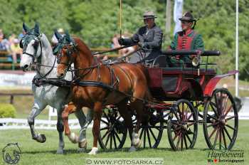 Mezöhegyes 2018 - drezury