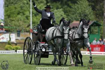 Mezöhegyes 2018 - drezury