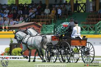 Mezöhegyes 2018 - drezury