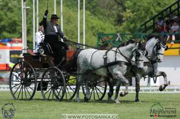 Mezöhegyes 2018 - drezury