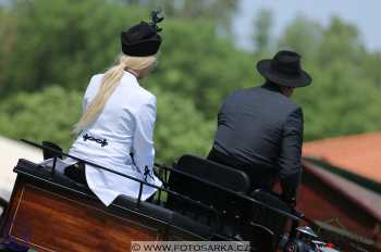 Mezöhegyes 2018 - drezury