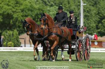 Mezöhegyes 2018 - drezury