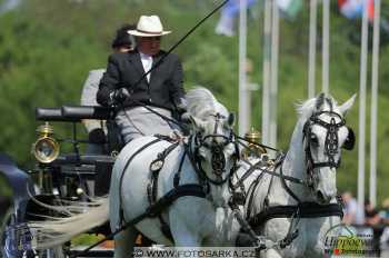 Mezöhegyes 2018 - drezury