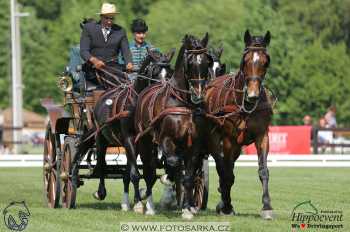 Mezöhegyes 2018 - drezury