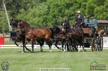 Mezöhegyes 2018 - drezury