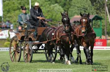 Mezöhegyes 2018 - drezury