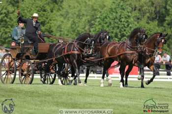Mezöhegyes 2018 - drezury