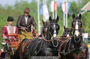 Mezöhegyes 2018 - drezury