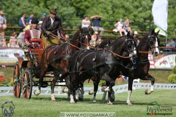 Mezöhegyes 2018 - drezury