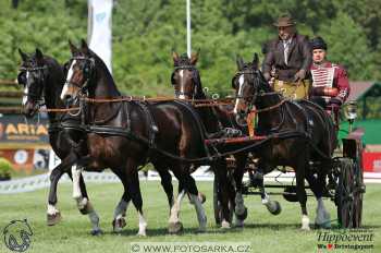 Mezöhegyes 2018 - drezury