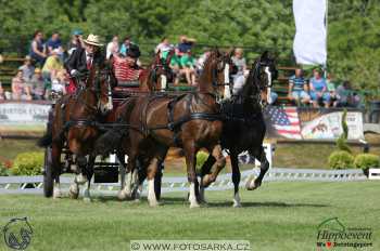 Mezöhegyes 2018 - drezury