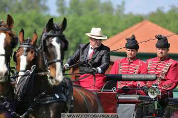 Mezöhegyes 2018 - drezury