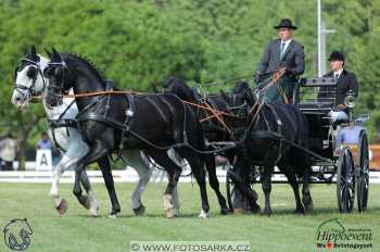 Mezöhegyes 2018 - drezury