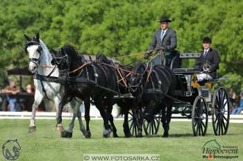 Mezöhegyes 2018 - drezury