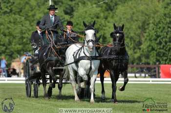 Mezöhegyes 2018 - drezury