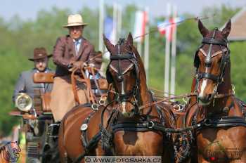 Mezöhegyes 2018 - drezury