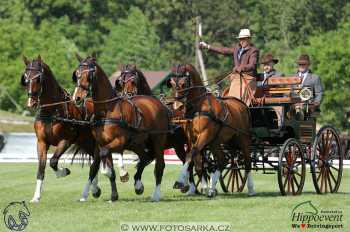 Mezöhegyes 2018 - drezury