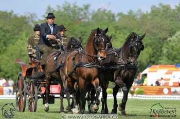 Mezöhegyes 2018 - drezury