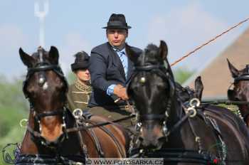 Mezöhegyes 2018 - drezury