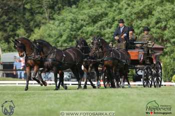 Mezöhegyes 2018 - drezury