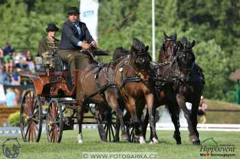 Mezöhegyes 2018 - drezury