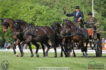 Mezöhegyes 2018 - drezury