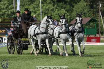 Mezöhegyes 2018 - drezury