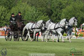 Mezöhegyes 2018 - drezury