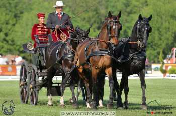 Mezöhegyes 2018 - drezury