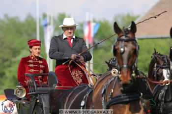 Mezöhegyes 2018 - drezury