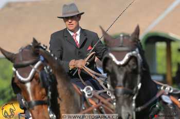 Mezöhegyes 2018 - drezury