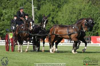 Mezöhegyes 2018 - drezury