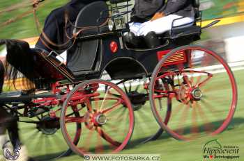 Mezöhegyes 2018 - drezury