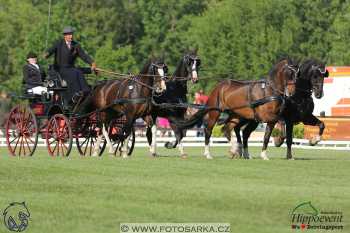 Mezöhegyes 2018 - drezury