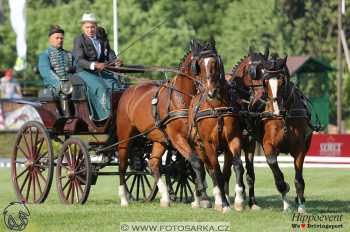 Mezöhegyes 2018 - drezury