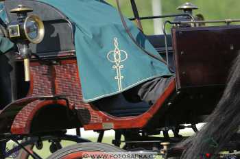 Mezöhegyes 2018 - drezury